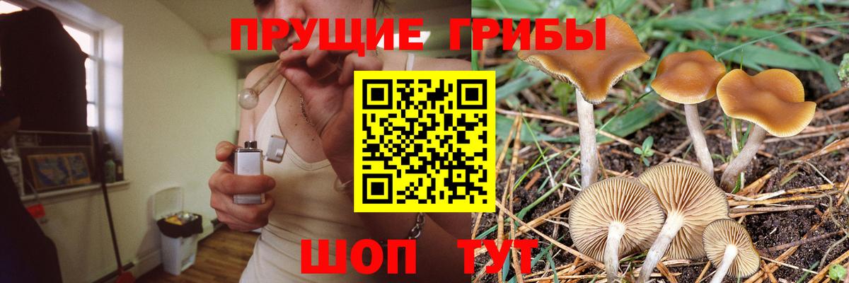 Псилоцибиновые грибы прущие грибы  Вход с VPN  Галлюциногенные грибы Magic Shrooms  Канаш 